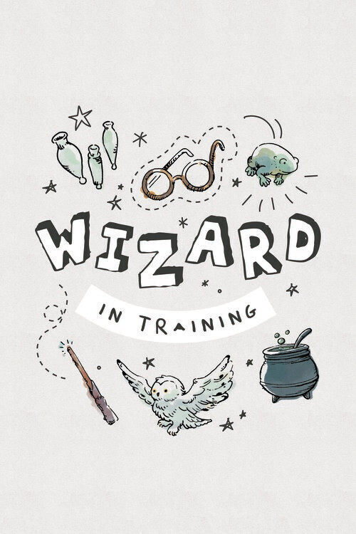 Europosters Plakát, Obraz - Harry Potter - Čaroděj v zácviku, 26.7 × 40 cm