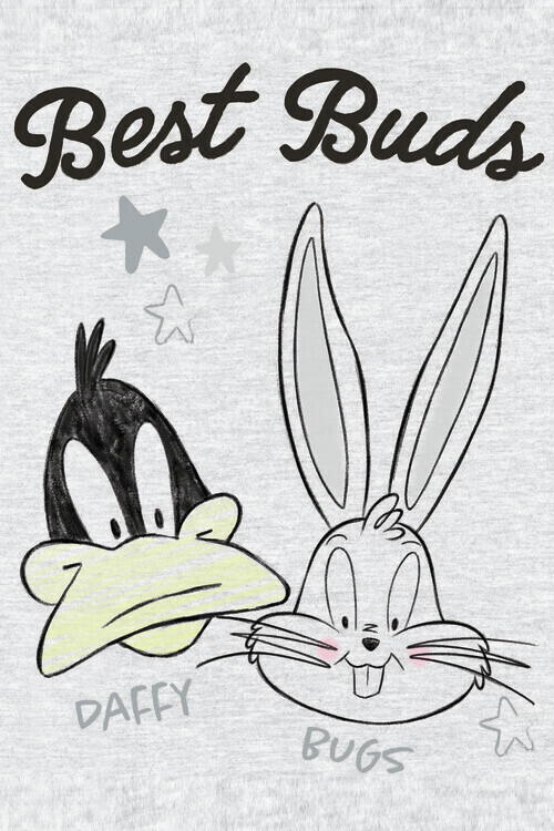 Europosters Plakát, Obraz - Daffy and Bugs, 26.7 × 40 cm
