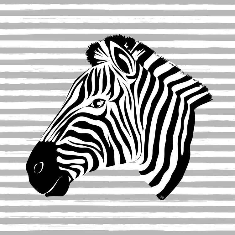 Martina Pavlova Plakát, Obraz - Striped zebra, Martina Pavlova, 40 × 40 cm