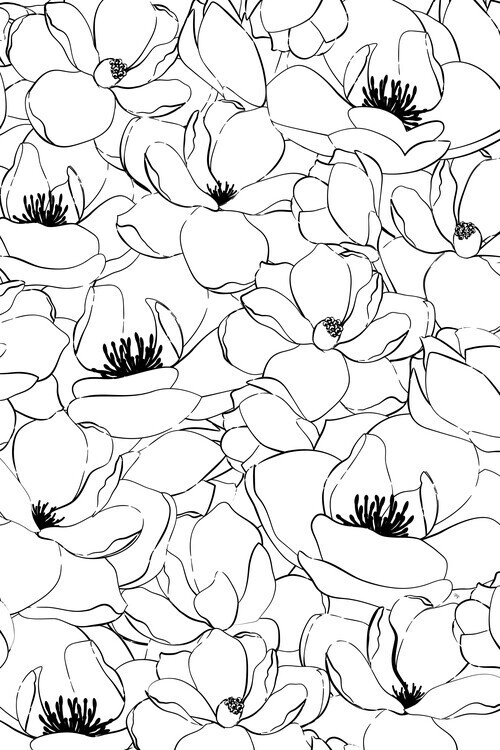 Martina Pavlova Plakát, Obraz - Magnolias, Martina Pavlova, 26.7 × 40 cm