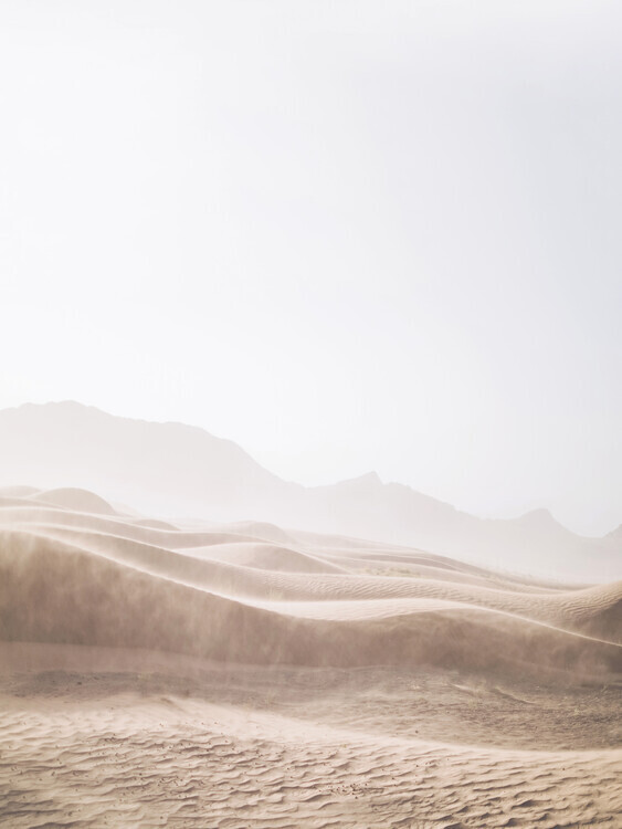 Sisi & Seb Plakát, Obraz - Windy Desert, Sisi & Seb, 30 × 40 cm