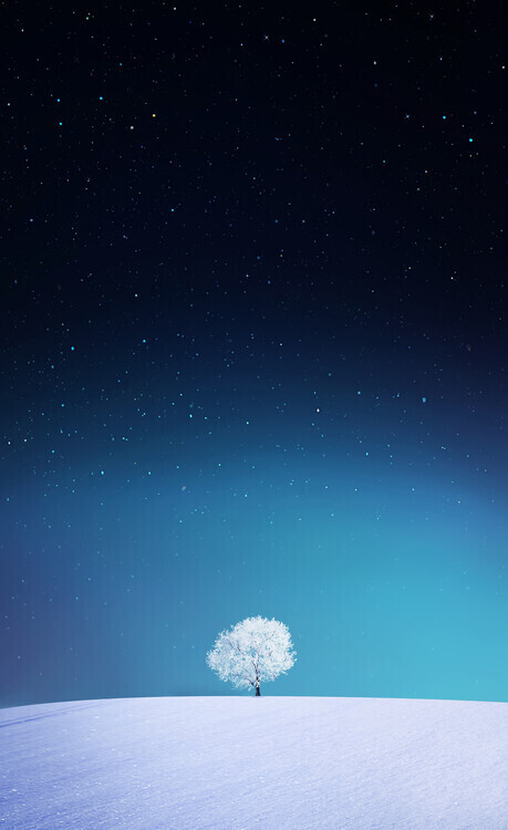 Bess Hamiti Plakát, Obraz - Apple, Bess Hamiti, 24.5 × 40 cm
