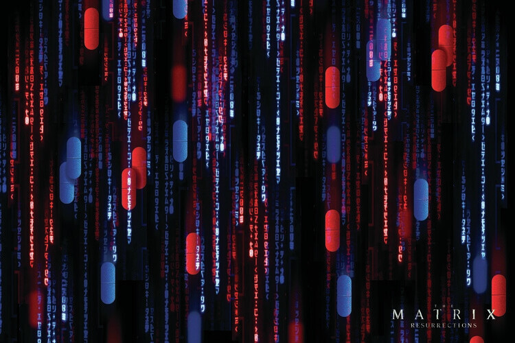 Europosters Plakát, Obraz - Matrix 4 - System, 40 × 26.7 cm