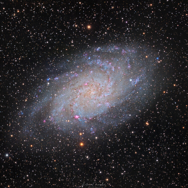 vikas chander Plakát, Obraz - Triangulum Galaxy, vikas chander, 40 × 40 cm