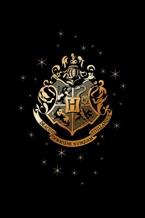 Europosters Plakát, Obraz - Hogwarts Golden Emblem, 26.7 × 40 cm