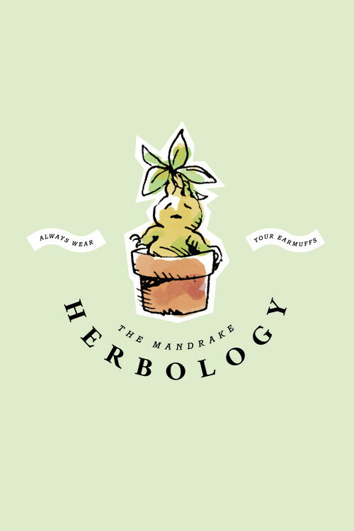 Europosters Plakát, Obraz - The Mandrake - Herbology, 26.7 × 40 cm