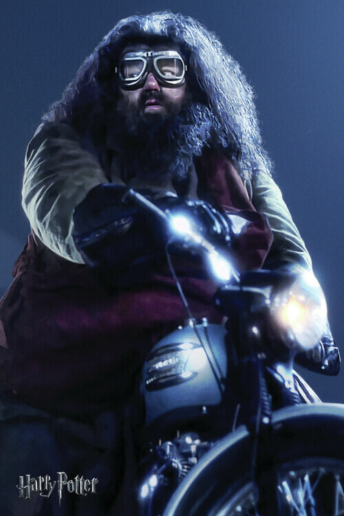 Europosters Plakát, Obraz - Harry Potter - Hagrid, 26.7 × 40 cm