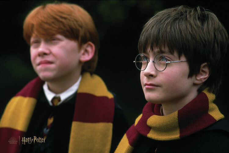 Europosters Plakát, Obraz - Harry Potter and Ron Weasley, 40 × 26.7 cm