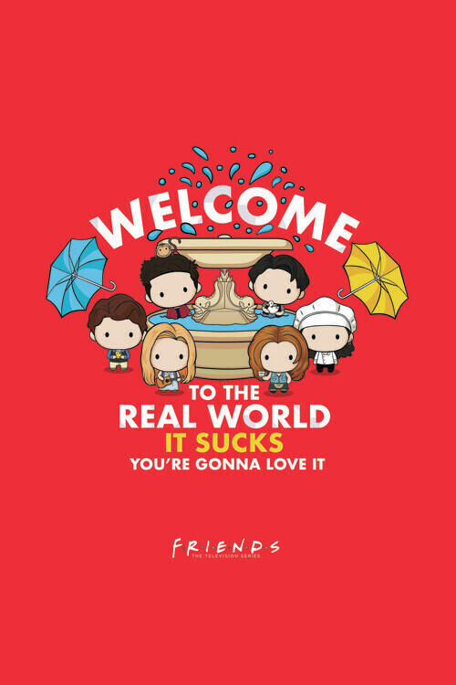Europosters Plakát, Obraz - Friends - Welcome to the real world, 26.7 × 40 cm