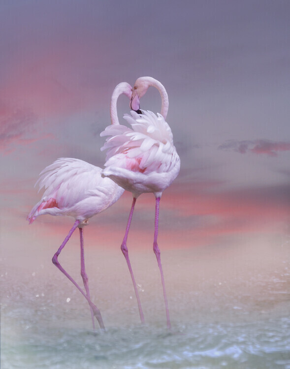 Krystina Wisniowska Plakát, Obraz - Flamingo Ballet, Krystina Wisniowska, 30 × 40 cm