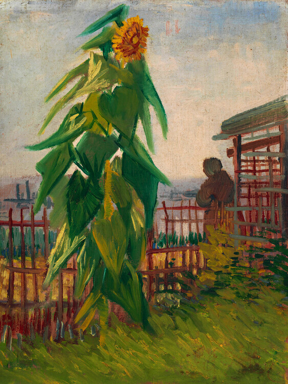 Vincent van Gogh Plakát, Obraz - Allotment with Sunflower, Vincent van Gogh, 30 × 40 cm