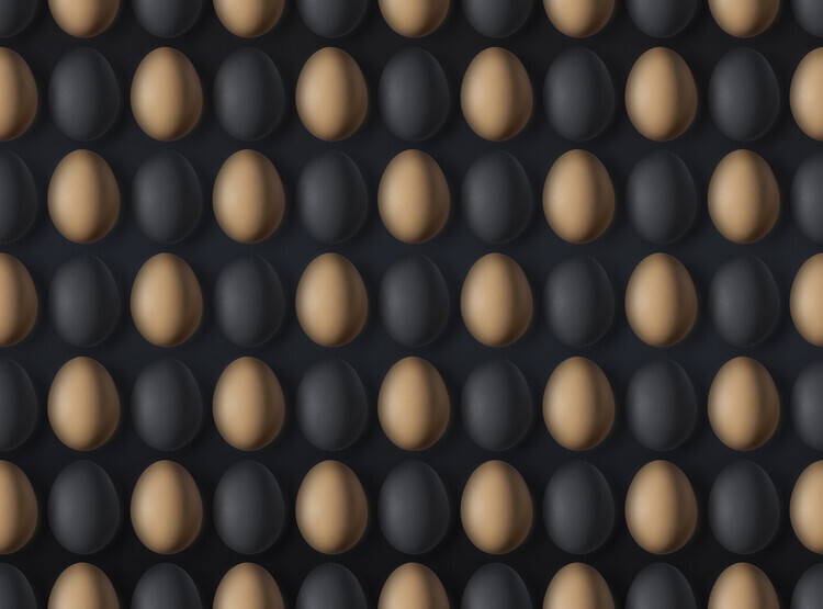 Yujie Zhang Plakát, Obraz - EGG, Yujie Zhang, 40 × 30 cm