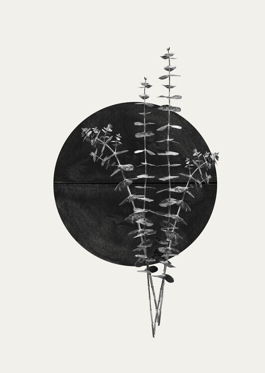 THE MIUUS STUDIO Plakát, Obraz - Plant and Black Sun, THE MIUUS STUDIO, 30 × 40 cm