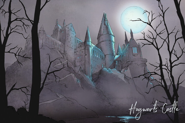 Europosters Plakát, Obraz - Harry Potter - Nocturnal Hogwarts Castlle, 40 × 26.7 cm