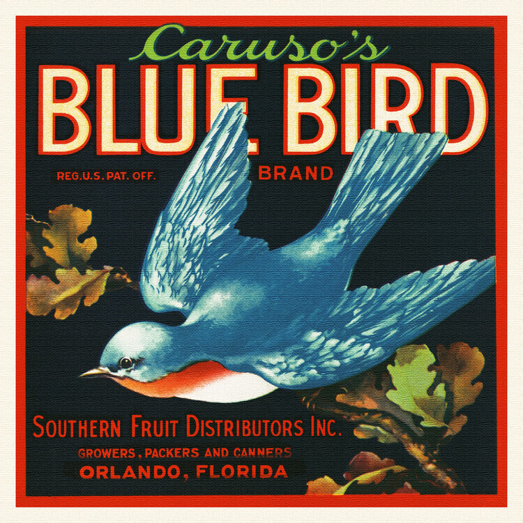 Florida Crate Labels Plakát, Obraz - Caruso's Blue Bird Brand, Florida Crate Labels, 40 × 40 cm