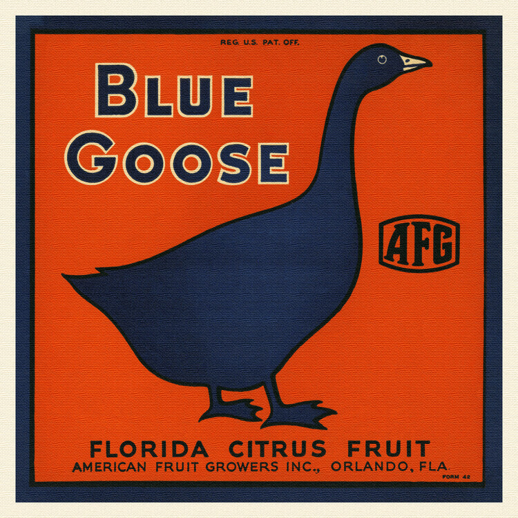 Florida Crate Labels Plakát, Obraz - Blue Goose Brand, Florida Crate Labels, 40 × 40 cm