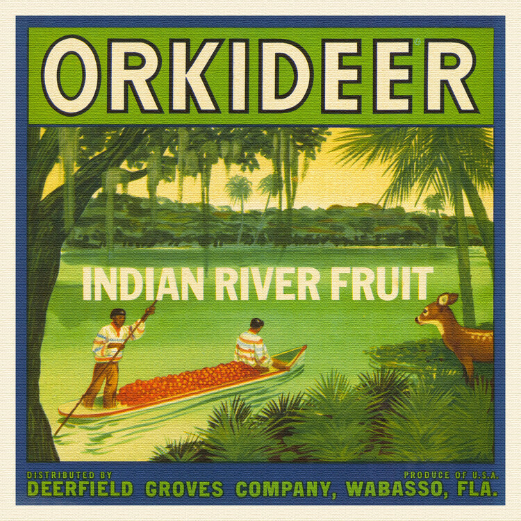 Louis Rhead Plakát, Obraz - Orchids River Fruit Brand, Louis Rhead, 40 × 40 cm