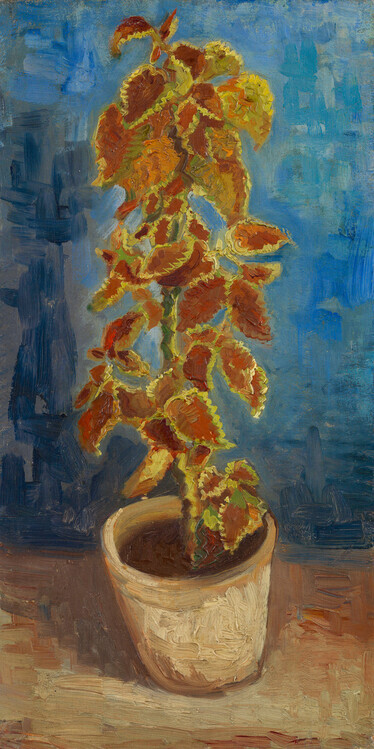 Gogh, Vincent van Plakát, Obraz - Flower, 1886, Gogh, Vincent van, 20 × 40 cm