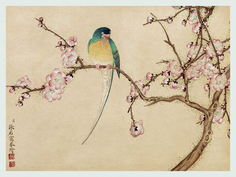 Zhang Ruoai Plakát, Obraz - Bird on a Blossom Branch, Zhang Ruoai, 40 × 30 cm