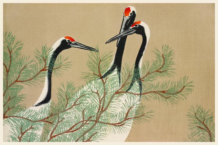 Kamisaka Sekka Plakát, Obraz - Red Crown Cranes from Momoyogusa, Kamisaka Sekka, 40 × 26.7 cm
