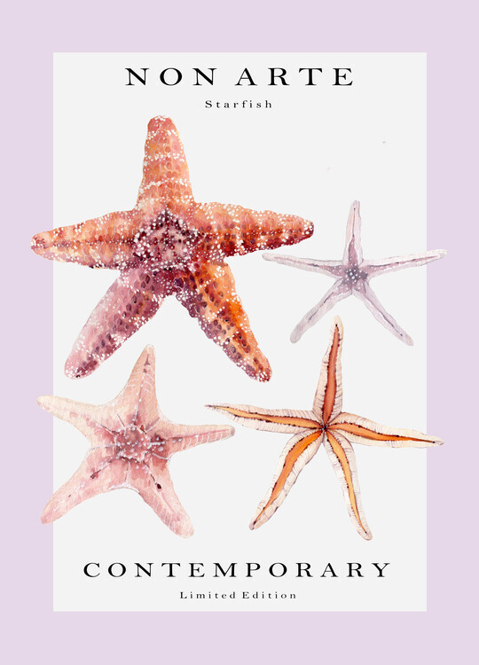 Rikke Londager Boisen Plakát, Obraz - Non Arte Starfish, Rikke Londager Boisen, 30 × 40 cm