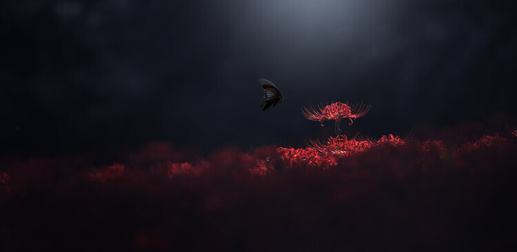 Takashi Suzuki Plakát, Obraz - Raven black and red, Takashi Suzuki, 40 × 20 cm