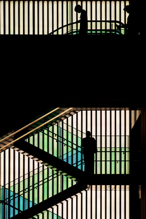 Tomoshi Hara Plakát, Obraz - silhouette romance, Tomoshi Hara, 26.7 × 40 cm