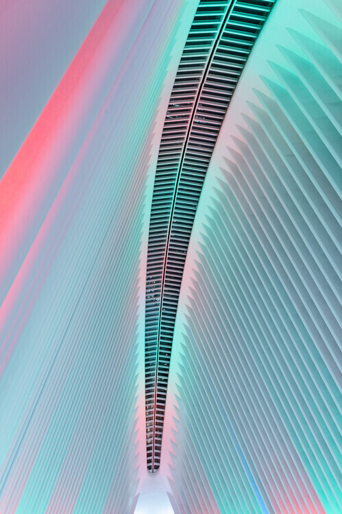 Hal Li Plakát, Obraz - Christmas in the Oculus, Hal Li, 26.7 × 40 cm
