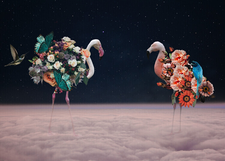 Salome Zhividze Plakát, Obraz - Flamingos, Salome Zhividze, 40 × 30 cm