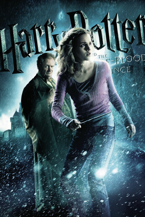 Europosters Plakát, Obraz - Harry Potter and The Half-Blood Prince - Hermione, 26.7 × 40 cm