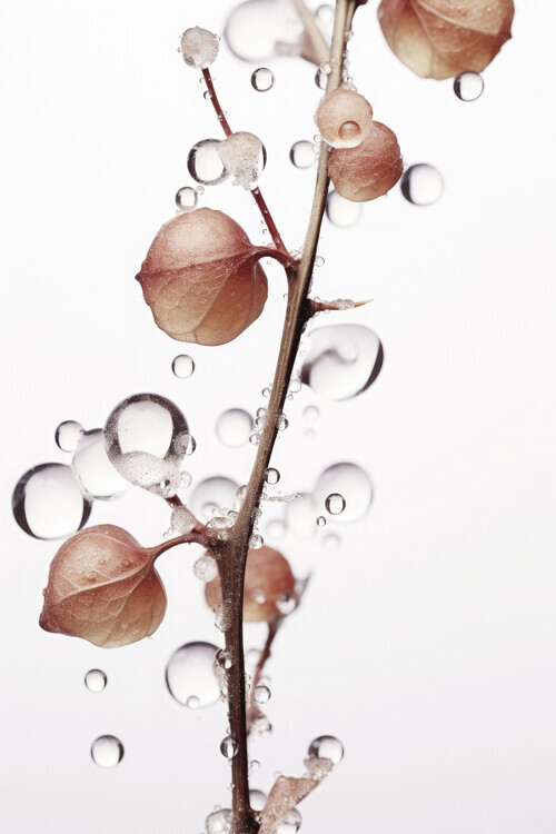 Treechild Plakát, Obraz - Drops On Leaf, Treechild, 26.7 × 40 cm