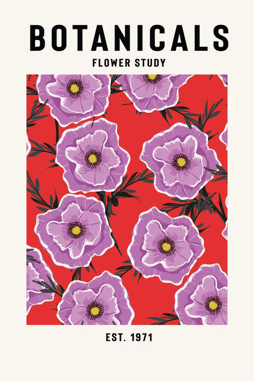 jay stanley Plakát, Obraz - Botanicals Flower Study, jay stanley, 26.7 × 40 cm