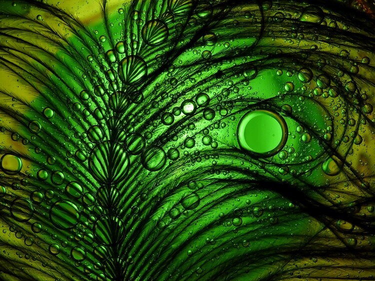 Ivan Lesica Plakát, Obraz - Feather Abstract, Ivan Lesica, 40 × 30 cm