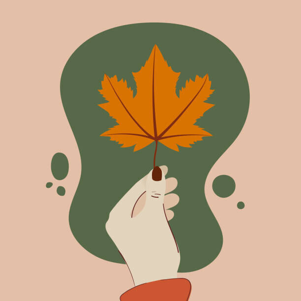 frikota Plakát, Obraz - Human hand holding a maple leaf. Autumn vibes. Vector illustration, flat design, frikota, 40 × 40 cm