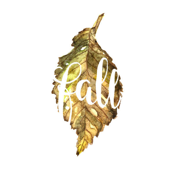 Tetiana Shevelenko Plakát, Obraz - Watercolor illustration of text on brown leaf background. autumn style., Tetiana Shevelenko, 40 × 40 cm