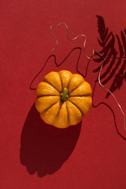 Olga Zarytska Plakát, Obraz - Pumpkin, shadow of fern leaf and copper on red background in brightly lit., Olga Zarytska, 26.7 × 40 cm