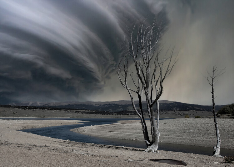 Yvette Depaepe Plakát, Obraz - Thirsty land, Yvette Depaepe, 40 × 30 cm