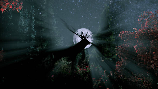 ogeday çelik Plakát, Obraz - deer with antlers silhouette during the, ogeday çelik, 40 × 22.2 cm