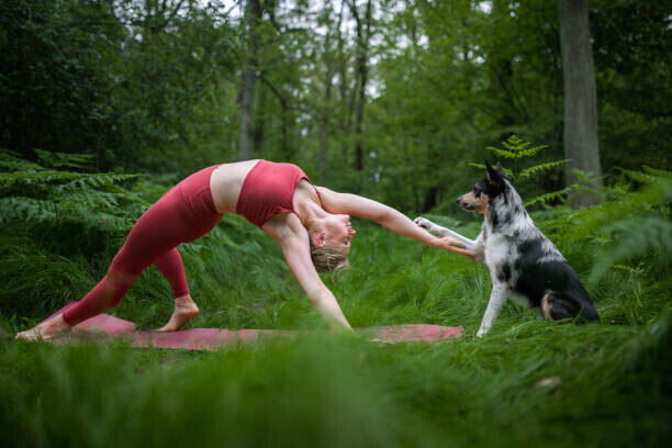 IzaLysonArts / 500px Plakát, Obraz - Young woman practicing yoga in nature, IzaLysonArts / 500px, 40 × 26.7 cm