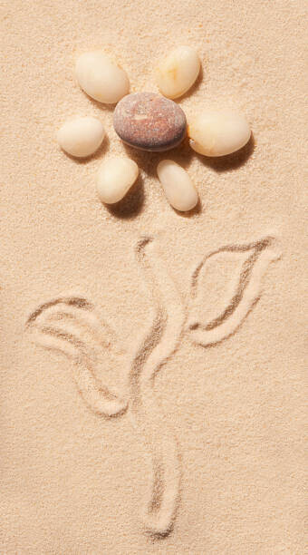 AndrewRafalsky Plakát, Obraz - Flower of sea stones drawn on, AndrewRafalsky, 22.2 × 40 cm