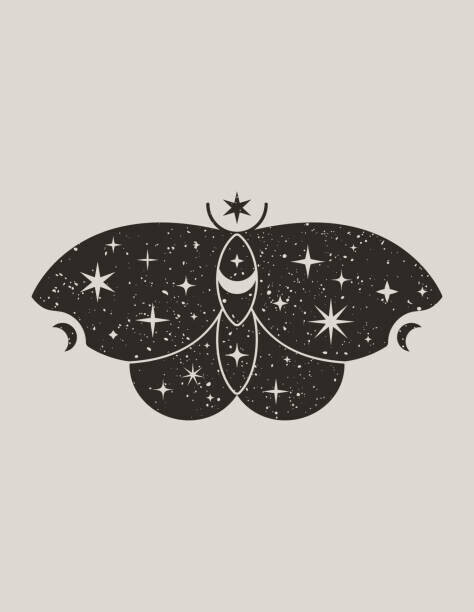 ANASTASIIA DMITRIEVA Plakát, Obraz - Mystical Black Butterfly in Trendy Boho, ANASTASIIA DMITRIEVA, 30 × 40 cm