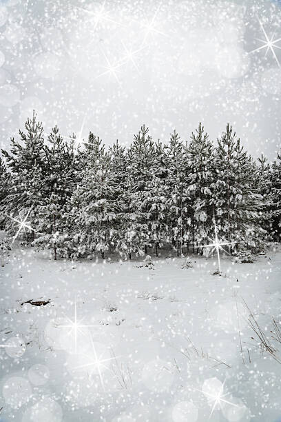 viperagp Plakát, Obraz - Beautiful winter landscape with snow covered trees, viperagp, 26.7 × 40 cm