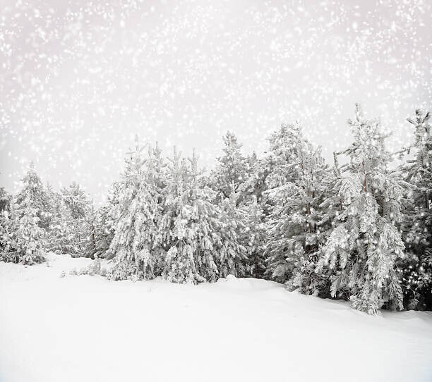 viperagp Plakát, Obraz - Beautiful winter landscape with snow covered trees, viperagp, 40 × 35.5 cm