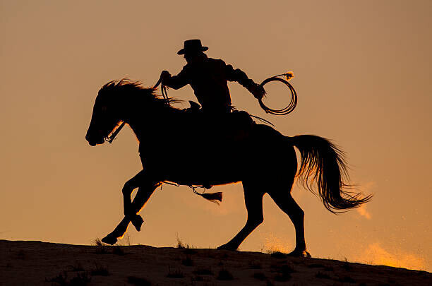 Darrell Gulin Plakát, Obraz - Cowboy & Horse Sunset Silhouette, Darrell Gulin, 40 × 26.7 cm