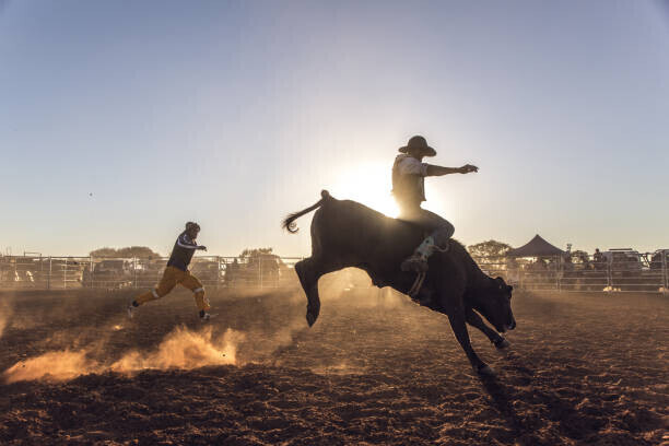 David Trood Plakát, Obraz - Dust flying at a rodeo in, David Trood, 40 × 26.7 cm
