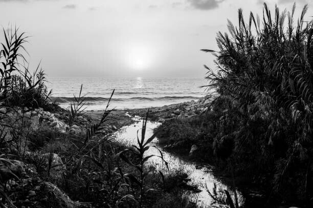 Geraint Rowland Photography Plakát, Obraz - Lebanese Coastline, Geraint Rowland Photography, 40 × 26.7 cm