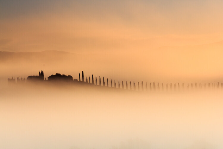 Alessandro Bergamin Plakát, Obraz - Foggy sunrise, Alessandro Bergamin, 40 × 26.7 cm