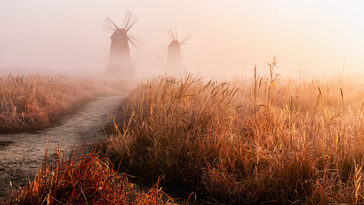 Gwangseop Eom Plakát, Obraz - Morning mist, Gwangseop Eom, 40 × 22.2 cm