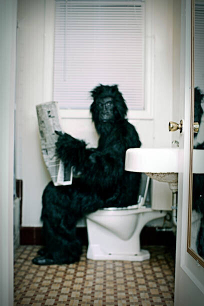 RyanJLane Plakát, Obraz - Gorilla Uses a Vintage Bathroom While, RyanJLane, 26.7 × 40 cm