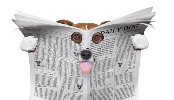 damedeeso Plakát, Obraz - spy dog reading a newspaper, damedeeso, 40 × 22.2 cm